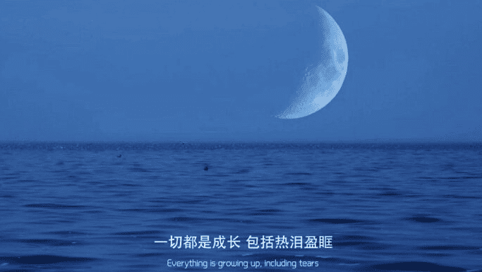 “四季周而复始的更替，来年还是春风绕枝头”-第2张图片-温柔治愈励志文案网