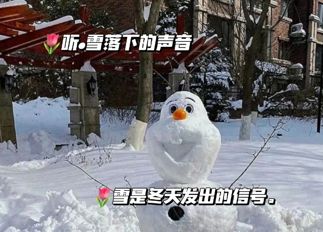 下雪天可以发的可可爱爱的微信朋友圈文案-第2张图片-温柔治愈励志文案网