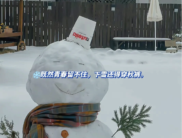 下雪天可以发的可可爱爱的微信朋友圈文案-第3张图片-温柔治愈励志文案网