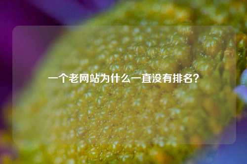 一个老网站为什么一直没有排名？