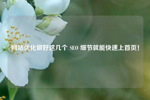 网站优化做好这几个 SEO 细节就能快速上首页！-第1张图片-温柔治愈励志文案网