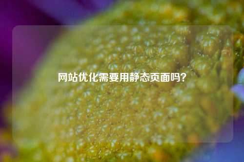 网站优化需要用静态页面吗？-第1张图片-温柔治愈励志文案网