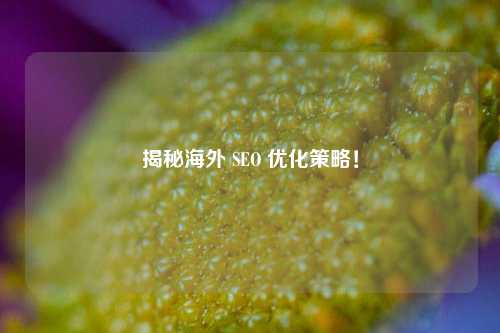 揭秘海外 SEO 优化策略！-第1张图片-温柔治愈励志文案网