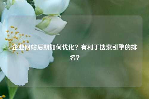 企业网站后期如何优化？有利于搜索引擎的排名？-第1张图片-温柔治愈励志文案网