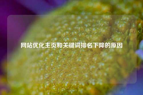 网站优化主页和关键词排名下降的原因