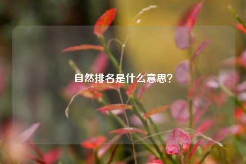 自然排名是什么意思？