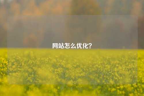 网站怎么优化？