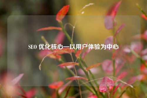 SEO 优化核心—以用户体验为中心-第1张图片-温柔治愈励志文案网