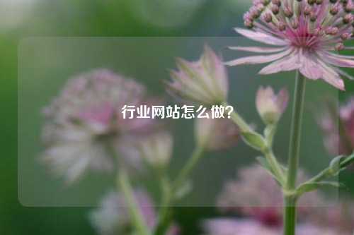 行业网站怎么做？