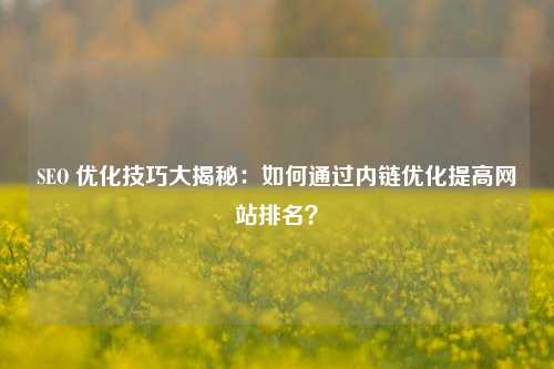 SEO 优化技巧大揭秘：如何通过内链优化提高网站排名？-第1张图片-温柔治愈励志文案网