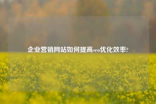 企业营销网站如何提高seo优化效率?