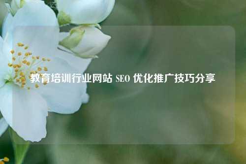 教育培训行业网站 SEO 优化推广技巧分享-第1张图片-温柔治愈励志文案网