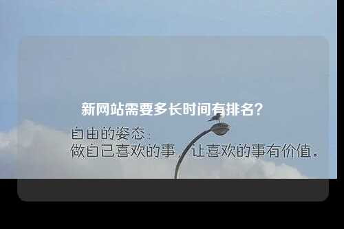 新网站需要多长时间有排名？-第1张图片-温柔治愈励志文案网