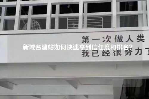 ​新域名建站如何快速拿到信任度和排名？-第1张图片-温柔治愈励志文案网