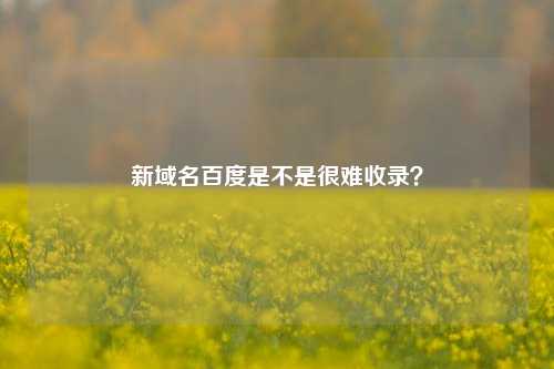 新域名百度是不是很难收录？-第1张图片-温柔治愈励志文案网