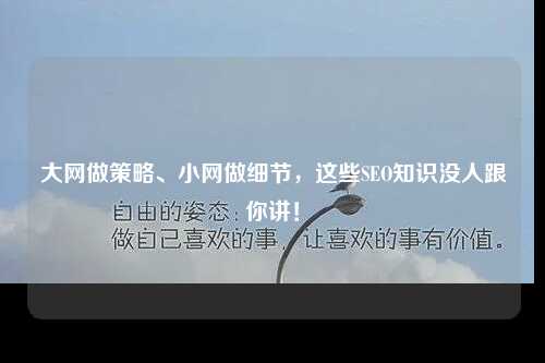 大网做策略、小网做细节，这些SEO知识没人跟你讲！-第1张图片-温柔治愈励志文案网