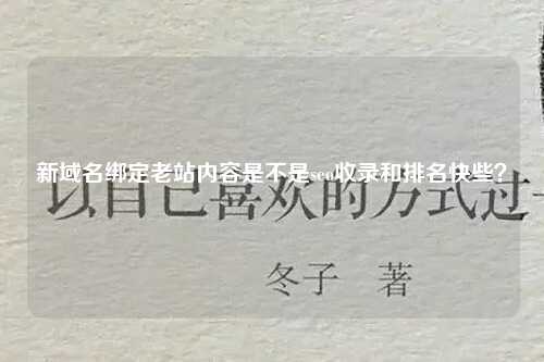 新域名绑定老站内容是不是seo收录和排名快些？-第1张图片-温柔治愈励志文案网