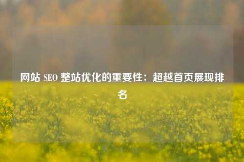 网站 SEO 整站优化的重要性：超越首页展现排名-第1张图片-温柔治愈励志文案网