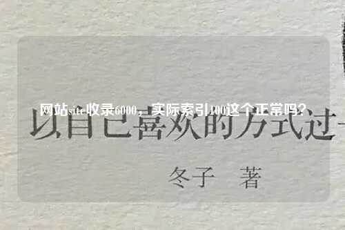 网站site收录6000，实际索引100这个正常吗？-第1张图片-温柔治愈励志文案网