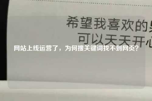 网站上线运营了，为何搜关键词找不到网页？-第1张图片-温柔治愈励志文案网