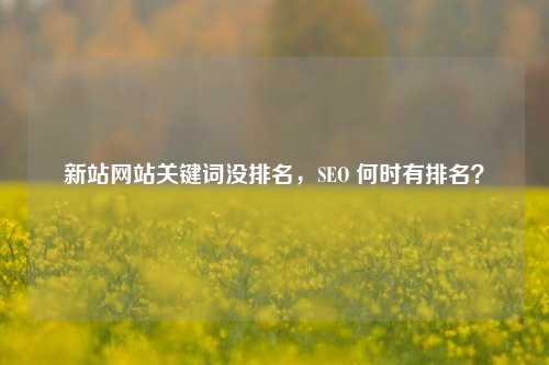 新站网站关键词没排名，SEO 何时有排名？-第1张图片-温柔治愈励志文案网