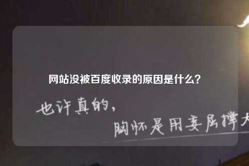 网站没被百度收录的原因是什么？-第1张图片-温柔治愈励志文案网