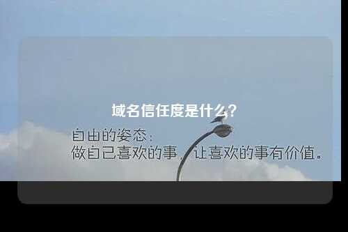 域名信任度是什么？