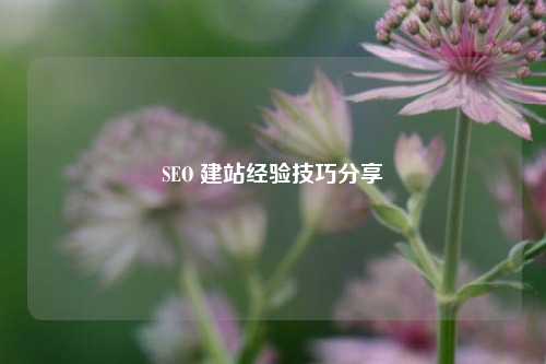 SEO 建站经验技巧分享