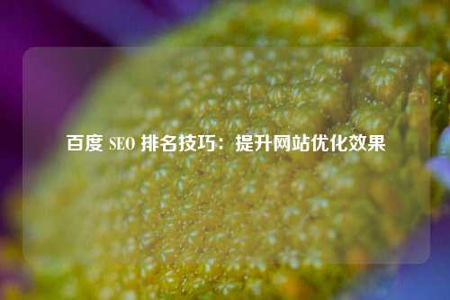 百度 SEO 排名技巧：提升网站优化效果