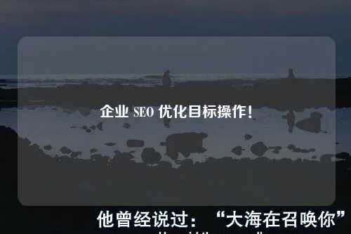 企业 SEO 优化目标操作！