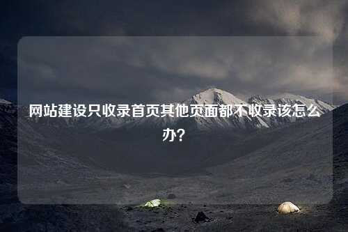 网站建设只收录首页其他页面都不收录该怎么办？