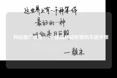 ​网站推广优化：7个提高网站权重的关键步骤-第1张图片-温柔治愈励志文案网