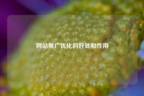 网站推广优化的好处和作用-第1张图片-温柔治愈励志文案网