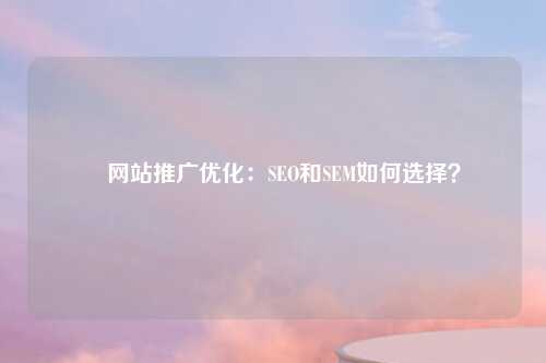 ​网站推广优化：SEO和SEM如何选择？-第1张图片-温柔治愈励志文案网