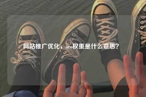 网站推广优化，seo权重是什么意思？ -第1张图片-温柔治愈励志文案网