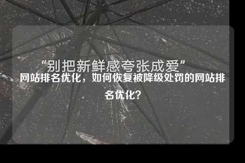 网站排名优化，如何恢复被降级处罚的网站排名优化？