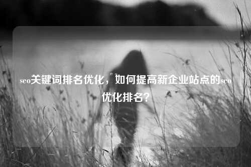 seo关键词排名优化，如何提高新企业站点的seo优化排名？