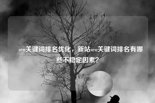 ​seo关键词排名优化，新站seo关键词排名有哪些不稳定因素？-第1张图片-温柔治愈励志文案网