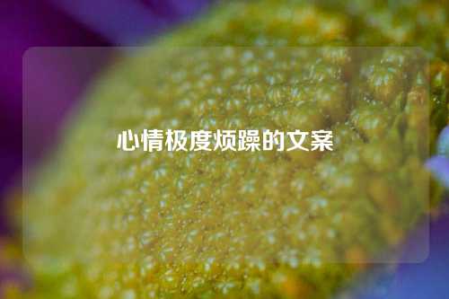 心情极度烦躁的文案-第1张图片-温柔治愈励志文案网