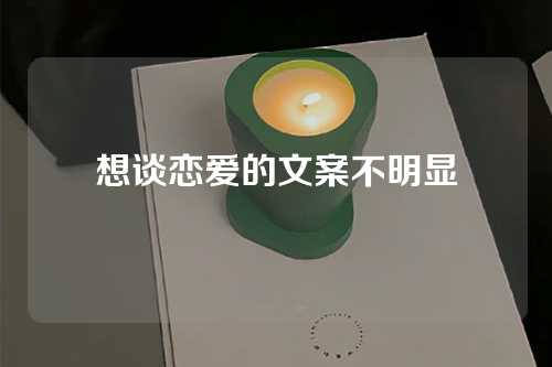 想谈恋爱的文案不明显-第1张图片-温柔治愈励志文案网