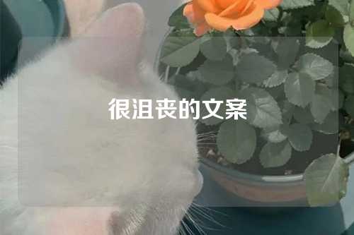 很沮丧的文案