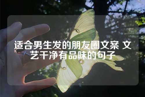 适合男生发的朋友圈文案 文艺干净有品味的句子-第1张图片-温柔治愈励志文案网