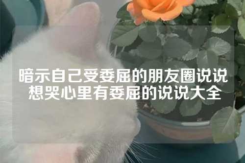 暗示自己受委屈的朋友圈说说 想哭心里有委屈的说说大全