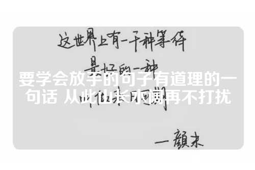 要学会放手的句子有道理的一句话 从此山长水阔再不打扰