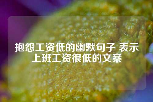 抱怨工资低的幽默句子 表示上班工资很低的文案