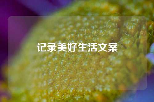 记录美好生活文案-第1张图片-温柔治愈励志文案网