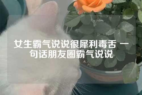 女生霸气说说很犀利毒舌 一句话朋友圈霸气说说