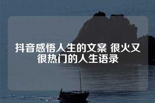 抖音感悟人生的文案 很火又很热门的人生语录-第1张图片-温柔治愈励志文案网