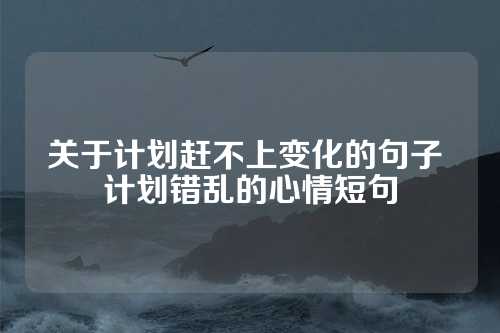 关于计划赶不上变化的句子 计划错乱的心情短句-第1张图片-温柔治愈励志文案网