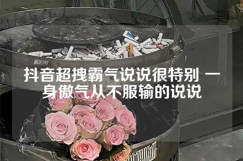 抖音超拽霸气说说很特别 一身傲气从不服输的说说